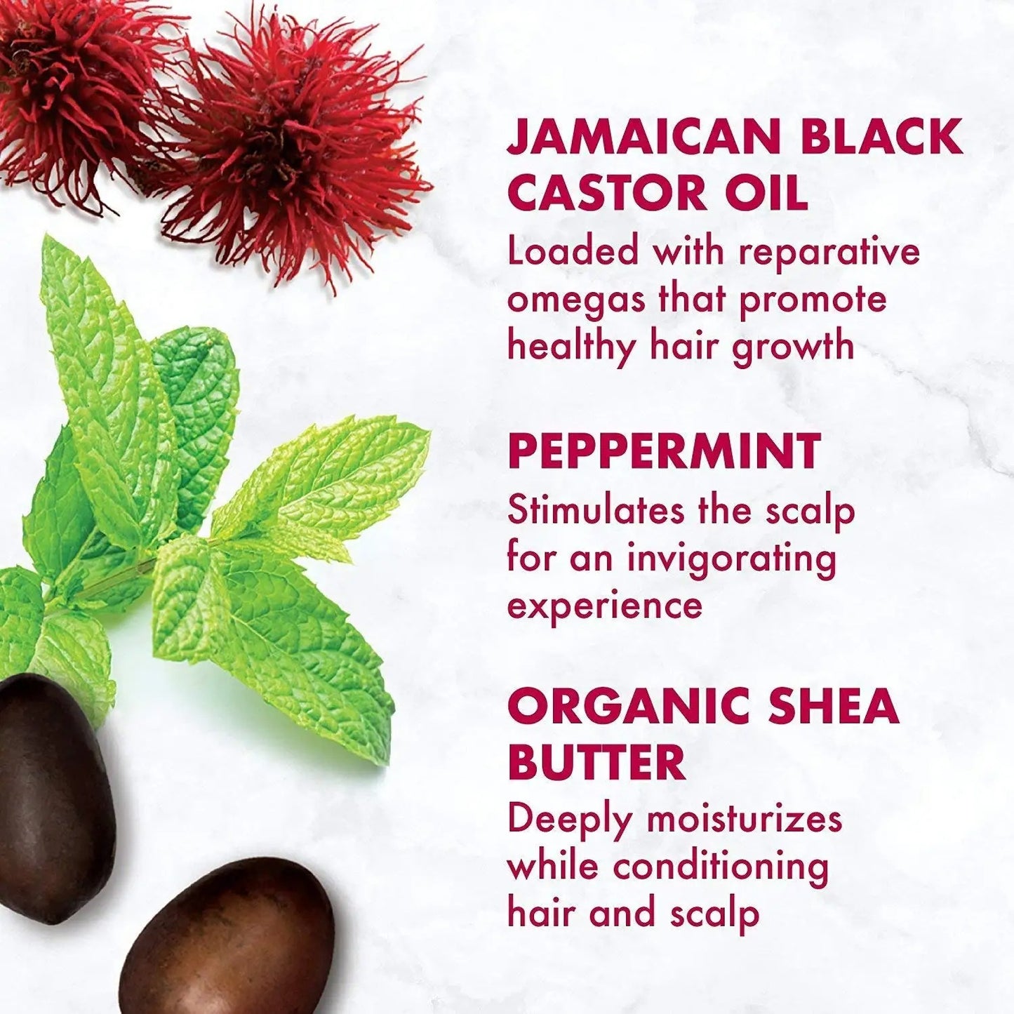 Shea Moisture Shampoo Conditioner and MASQUE Set Jamaican Black Castor Oil